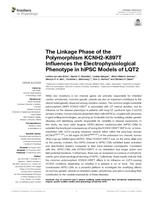 The linkage phase of the polymorphism KCNH2-K897T influences the electrophysiological phenotype in hiPSC models of LQT2