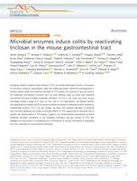 Microbial enzymes induce colitis by reactivating triclosan in the mouse gastrointestinal tract