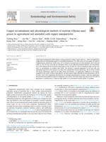 Copper accumulation and physiological markers of soybean (Glycine max) grown in agricultural soil amended with copper nanoparticles