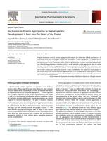 Nucleation in protein aggregation in biotherapeutic development