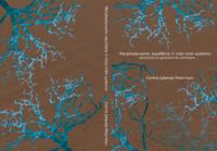 Morphodynamic equilibria in tidal inlet systems