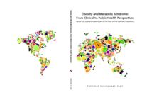 Obesity and metabolic syndrome: from clinical to public health perspectives