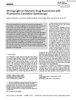 Shining light on polymeric drug nanocarriers with fluorescence correlation spectroscopy