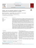 Stabilin 1 and 2 are important regulators for cellular uptake of apolipoprotein B-containing lipoproteins in zebrafish