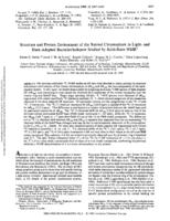 Structure and protein environment of the retinal chromophore in light- and dark-adapted bacteriorhodopsin studied by solid-state NMR