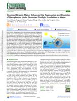 Dissolved organic matter enhanced the aggregation and oxidation of nanoplastics under simulated sunlight irradiation in water
