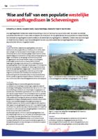 ‘Rise and fall’ van een populatie westelijke smaragdhagedissen in Scheveningen