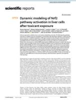 Dynamic modeling of Nrf2 pathway activation in liver cells after toxicant exposure