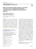 High-content high-throughput imaging reveals distinct connections between mitochondrial morphology and functionality for oxphos complex I, III, and V inhibitors