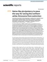 Naïve-like pluripotency to pave the way for saving the northern white rhinoceros from extinction