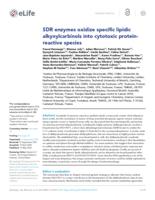 SDR enzymes oxidize specific lipidic alkynylcarbinols into cytotoxic protein-reactive species