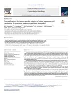 Potential targets for tumor-specific imaging of vulvar squamous cell carcinoma