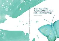 Dissecting cellular function of fibronectin in osteoarthritic cartilage