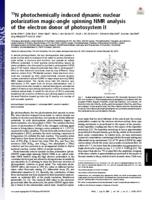 15N-photochemically induced dynamic nuclear polarization magic-angle spinning NMR analysis of the electron donor of photosystem II