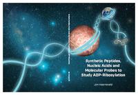 Synthetic peptides, nucleic acids and molecular probes to study ADP-Ribosylation
