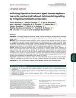 Inhibiting thyroid activation in aged human explants prevents mechanical induced detrimental signalling by mitigating metabolic processes