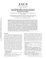 Photo-CIDNP MAS NMR in intact cells of Rhodobacter sphaeroides R26