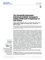 The cyclophilin-dependent calcineurin inhibitor voclosporin inhibits SARS-CoV-2 replication in cell culture