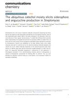 The ubiquitous catechol moiety elicits siderophore and angucycline production in Streptomyces