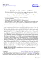 Filamentary baryons and where to find them