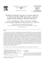 Probing the electronic structure of tyrosine radial Y-D (center dot) in photosystem II by EPR spectroscopy using site specific isotope labelling in Spirodela oligorrhiza