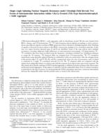 Magic-angle spinning nuclear magnetic resonance under ultrahigh field reveals two forms of intermolecular interaction within CH2C2-treated (3R)-type bacteriochlorophyll c solid aggregate