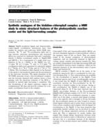 Synthetic analogues of the histidine-chlorophyll complex