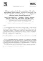 Efficient conditions for the photoaccumulation of H-A(-) in the photosynthetic reaction centre of Rhodobacter sphaeroides R26 with uniformly labelled bacteriopheophytin monitored by Fourier transform infrared difference spectroscopy