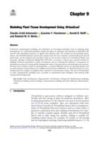 Modeling plant tissue development using VirtualLeaf