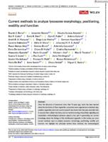 Current methods to analyze lysosome morphology, positioning, motility and function