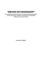 "Driver or passenger" : an integrated epidemiological and experimental perspective on the association between nontyphoidal salmonella infection and colon cancer