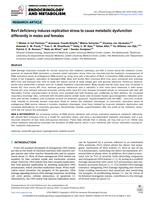 Rev1 deficiency induces replication stress to cause metabolic dysfunction differently in males and females