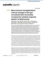 Bone marrow transplantation induces changes in the gut microbiota that chronically increase the cytokine response pattern of splenocytes