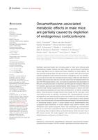 Dexamethasone-associated metabolic effects in male mice are partially caused by depletion of endogenous corticosterone