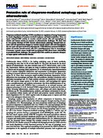 Protective role of chaperone-mediated autophagy against atherosclerosis