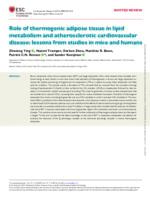 Role of thermogenic adipose tissue in lipid metabolism and atherosclerotic cardiovascular disease