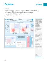Translating genomic exploration of the family Polyomaviridae into confident human polyomavirus detection