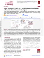 Potent inhibition of SARS-CoV-2 nsp14 N7-methyltransferase by sulfonamide-based bisubstrate analogues