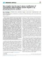 New insights into the type A glycan modification of Clostridioides difficile flagellar protein flagellin C by phosphoproteomics analysis