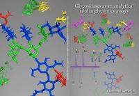 Glycosidases as an analytical tool in glycomics assays