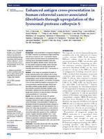 Enhanced antigen cross-presentation in human colorectal cancer-associated fibroblasts through upregulation of the lysosomal protease cathepsin S