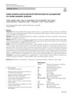 Leptin mutation and mycobacterial infection lead non-synergistically to a similar metabolic syndrome