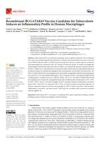 Recombinant BCG-LTAK63 vaccine candidate for tuberculosis induces an inflammatory profile in human macrophages