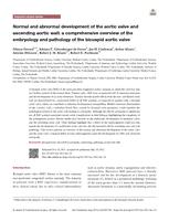 Normal and abnormal development of the aortic valve and ascending aortic wall