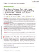 Revealing unforeseen diagnostic image features with deep learning by detecting cardiovascular diseases from apical 4-chamber ultrasounds