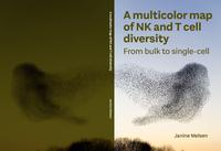 A multicolor map of NK and T cell diversity