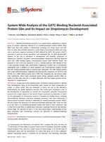 System-wide analysis of the GATC-binding nucleoid-associated protein Gbn and its impact on Streptomyces development