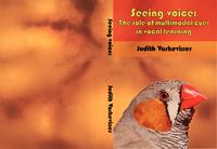 Seeing voices