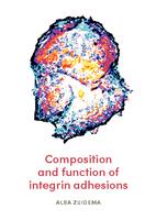 Composition and function of integrin adhesions