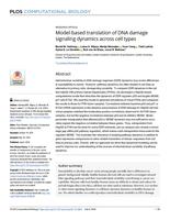 Model-based translation of DNA damage signaling dynamics across cell types